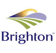 City of Brighton