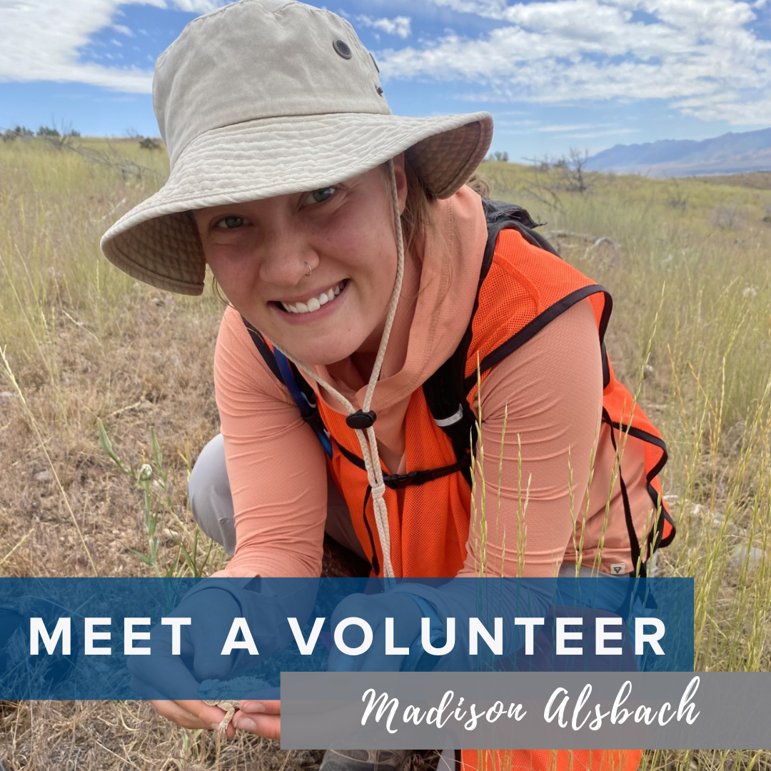 Madison Alsbach